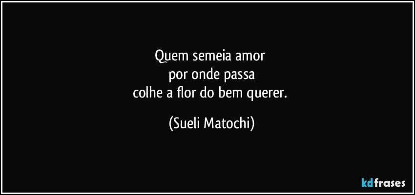 Quem semeia amor 
por onde passa
colhe a flor do bem querer. (Sueli Matochi)