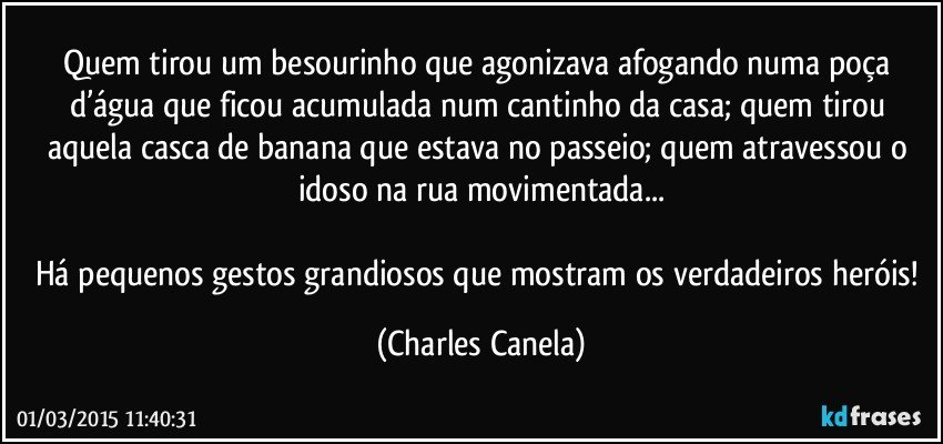 Quem tirou um besourinho que agonizava afogando numa poça d’água que ficou acumulada num cantinho da casa; quem tirou aquela casca de banana que estava no passeio; quem atravessou o idoso na rua movimentada...

Há pequenos gestos grandiosos que mostram os verdadeiros heróis! (Charles Canela)