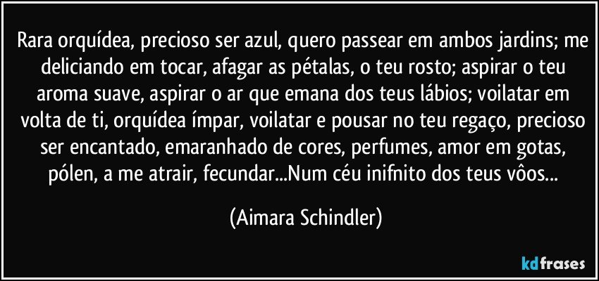 Rara orquídea, precioso ser azul, quero passear em ambos jardins; me deliciando em tocar, afagar as pétalas, o teu rosto; aspirar o teu aroma suave, aspirar o ar que emana dos teus lábios; voilatar em volta de ti, orquídea ímpar, voilatar e pousar no teu regaço, precioso ser encantado, emaranhado de cores, perfumes, amor em gotas, pólen, a me atrair, fecundar...Num céu inifnito dos teus vôos... (Aimara Schindler)