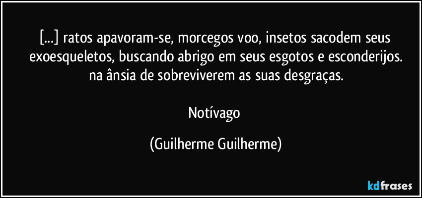 [...] ratos apavoram-se, morcegos voo, insetos sacodem seus exoesqueletos, buscando abrigo em seus esgotos e esconderijos.
na ânsia de sobreviverem as suas desgraças.

Notívago (Guilherme Guilherme)