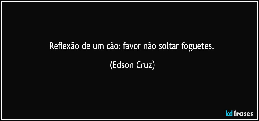 Reflexão de um cão: favor não soltar foguetes. (Edson Cruz)