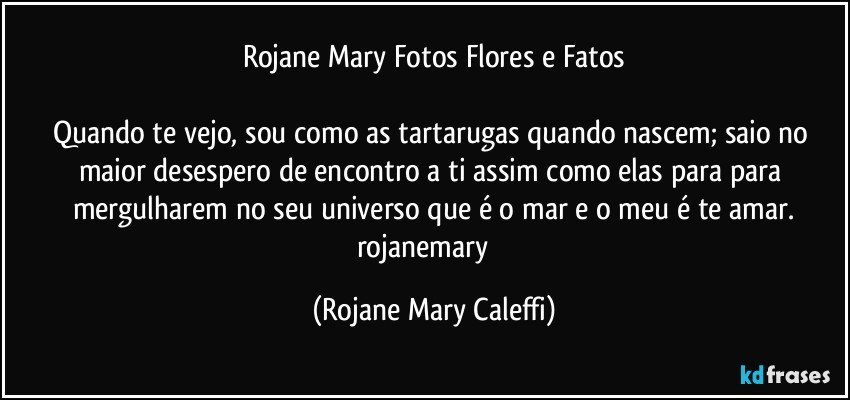 Rojane Mary Fotos Flores e Fatos

Quando te vejo, sou  como as tartarugas quando nascem; saio no maior  desespero de encontro a ti assim como elas para para mergulharem no seu universo que é o mar e o meu é te  amar.
rojanemary ❤ (Rojane Mary Caleffi)