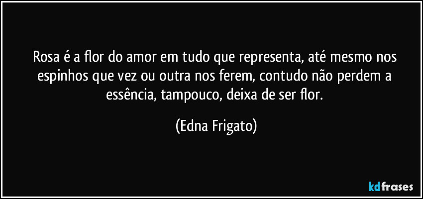 Rosa é a flor do amor em tudo que representa, até mesmo nos espinhos que vez ou outra nos ferem, contudo não perdem a essência, tampouco, deixa de ser flor. (Edna Frigato)