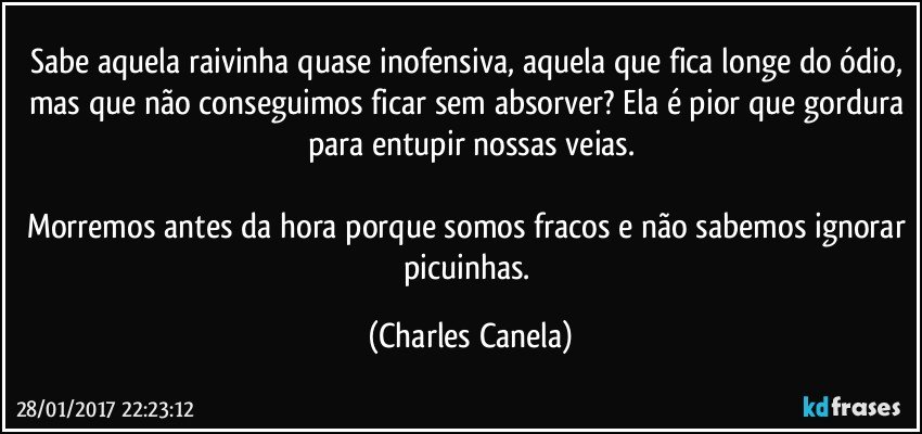 Sabe aquela raivinha quase inofensiva, aquela que fica longe do ódio, mas que não conseguimos ficar sem absorver? Ela é pior que gordura para entupir nossas veias.

Morremos antes da hora porque somos fracos e não sabemos ignorar picuinhas. (Charles Canela)