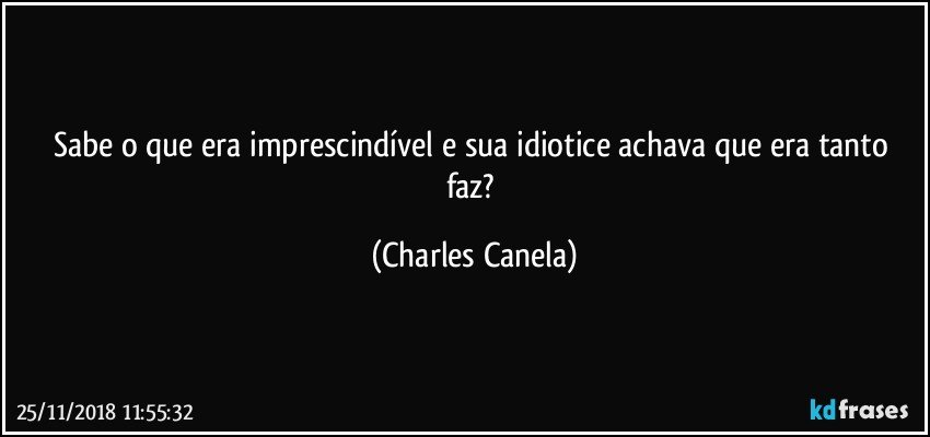 Sabe o que era imprescindível e sua idiotice achava que era tanto faz? (Charles Canela)