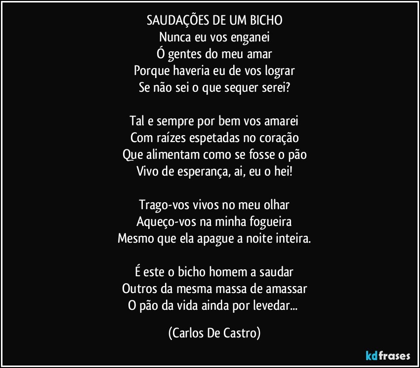 SAUDAÇÕES DE UM BICHO
Nunca eu vos enganei
Ó gentes do meu amar
Porque haveria eu de vos lograr
Se não sei o que sequer serei?

Tal e sempre por bem vos amarei
Com raízes espetadas no coração
Que alimentam como se fosse o pão
Vivo de esperança, ai, eu o hei!

Trago-vos vivos no meu olhar
Aqueço-vos na minha fogueira
Mesmo que ela apague a noite inteira.

É este o bicho homem a saudar
Outros da mesma massa de amassar
O pão da vida ainda por levedar... (Carlos De Castro)