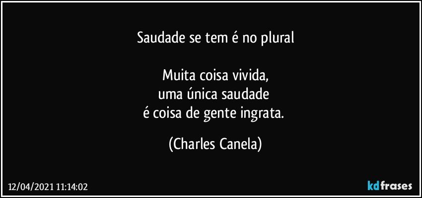 Saudade se tem é no plural

Muita coisa vivida,
uma única saudade 
é coisa de gente ingrata. (Charles Canela)