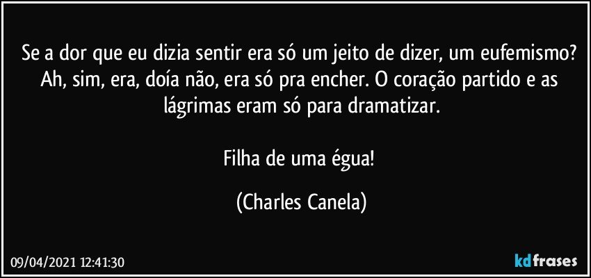 Se a dor que eu dizia sentir era só um jeito de dizer, um eufemismo? Ah, sim, era, doía não, era só pra encher. O coração partido e as lágrimas eram só para dramatizar.

Filha de uma égua! (Charles Canela)