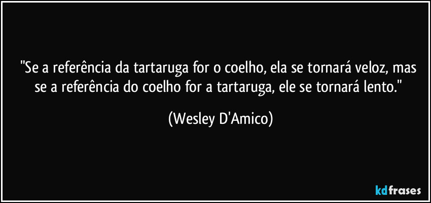 "Se a referência da tartaruga for o coelho, ela se tornará veloz, mas se a referência do coelho for a tartaruga, ele se tornará lento." (Wesley D'Amico)