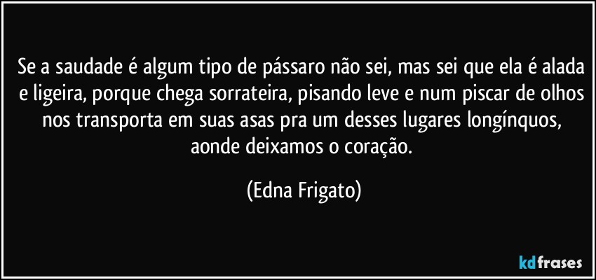 Se a saudade é algum tipo de pássaro não sei, mas sei que ela é alada e ligeira, porque chega sorrateira, pisando leve e num piscar de olhos nos transporta em suas asas pra um desses lugares longínquos, aonde deixamos o coração. (Edna Frigato)