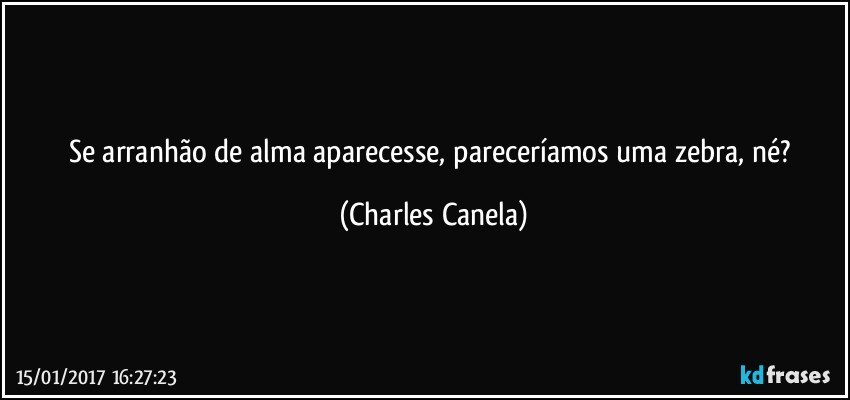 Se arranhão de alma aparecesse, pareceríamos uma zebra, né? (Charles Canela)