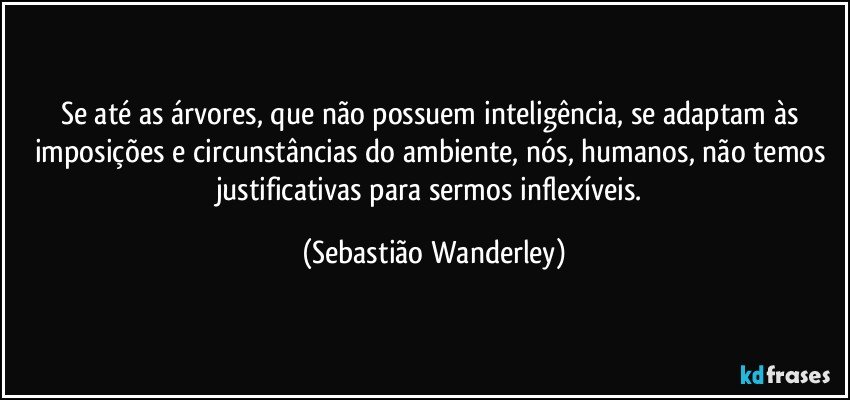 Se até as árvores, que não possuem inteligência, se adaptam às imposições e circunstâncias do ambiente, nós, humanos, não temos justificativas para sermos inflexíveis. (Sebastião Wanderley)