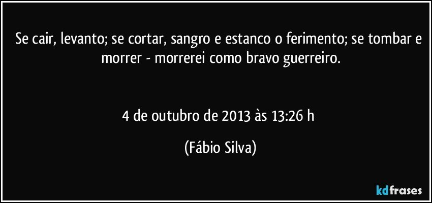 Se cair, levanto; se cortar, sangro e estanco o ferimento; se tombar e morrer - morrerei como bravo guerreiro.


4 de outubro de 2013 às 13:26 h (Fábio Silva)