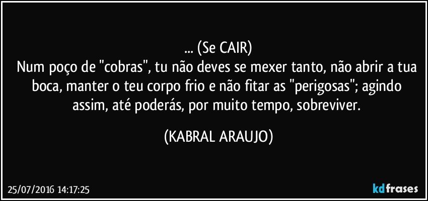 ... (Se CAIR)
Num poço de "cobras", tu não deves se mexer tanto, não abrir a tua boca, manter o teu corpo frio e não fitar as "perigosas"; agindo assim, até poderás, por muito tempo, sobreviver. (KABRAL ARAUJO)