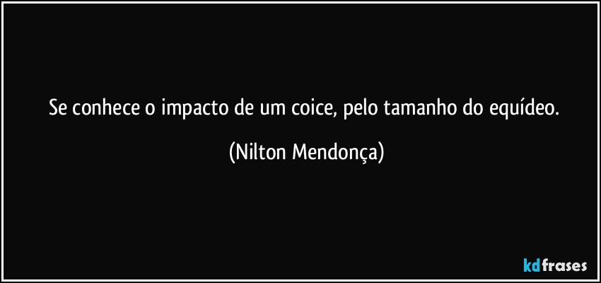 Se conhece o impacto de um coice, pelo tamanho do equídeo. (Nilton Mendonça)