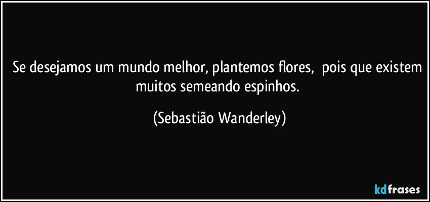 Se desejamos um mundo melhor, plantemos flores, pois que existem muitos semeando espinhos. (Sebastião Wanderley)