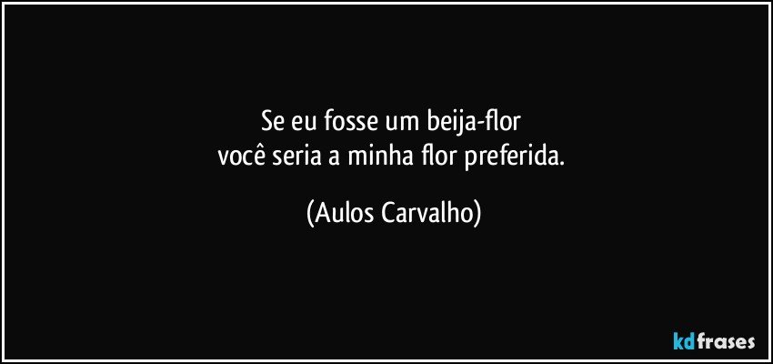 Se eu fosse um beija-flor 
você seria a minha flor preferida. (Aulos Carvalho)