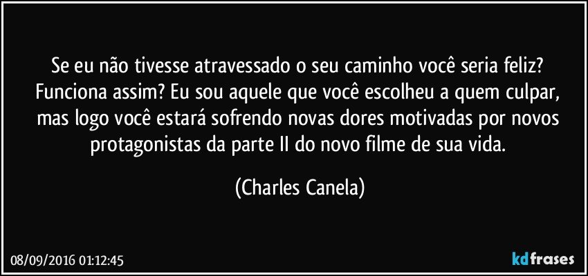 Se eu não tivesse atravessado o seu caminho você seria feliz? Funciona assim? Eu sou aquele que você escolheu a quem culpar, mas logo você estará sofrendo novas dores motivadas por novos protagonistas da parte II do novo filme de sua vida. (Charles Canela)