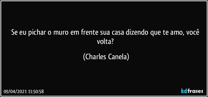 Se eu pichar o muro em frente sua casa dizendo que te amo, você volta? (Charles Canela)