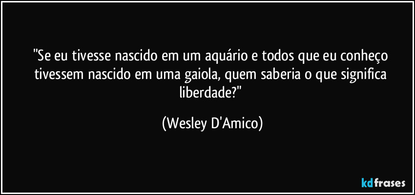 "Se eu tivesse nascido em um aquário e todos que eu conheço tivessem nascido em uma gaiola, quem saberia o que significa liberdade?" (Wesley D'Amico)
