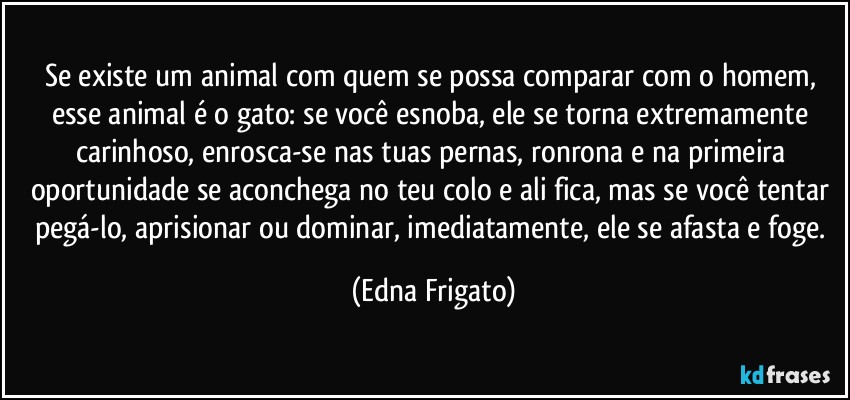 Se existe um animal com quem se possa comparar com o homem, esse animal é o gato: se você esnoba, ele se torna extremamente carinhoso, enrosca-se nas tuas pernas, ronrona e na primeira oportunidade se aconchega no teu colo e ali fica, mas se você tentar pegá-lo, aprisionar ou dominar, imediatamente, ele se afasta e foge. (Edna Frigato)