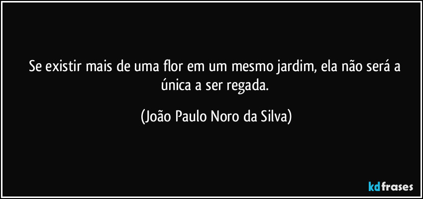 Se existir mais de uma flor em um mesmo jardim, ela não será a única a ser regada. (João Paulo Noro da Silva)