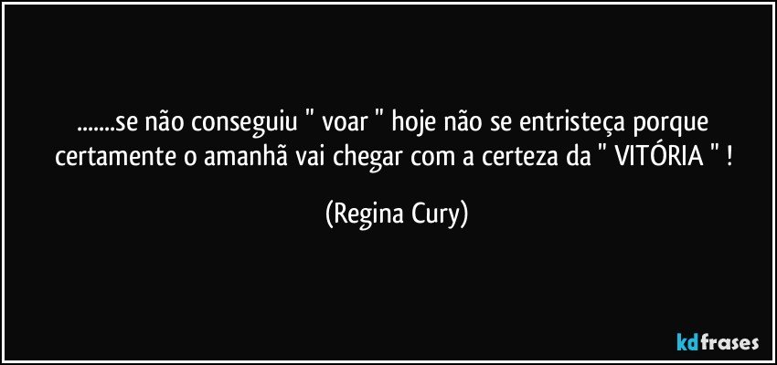 ...se não conseguiu  " voar  " hoje  não se entristeça  porque certamente o amanhã vai chegar com a certeza da  " VITÓRIA  " ! (Regina Cury)