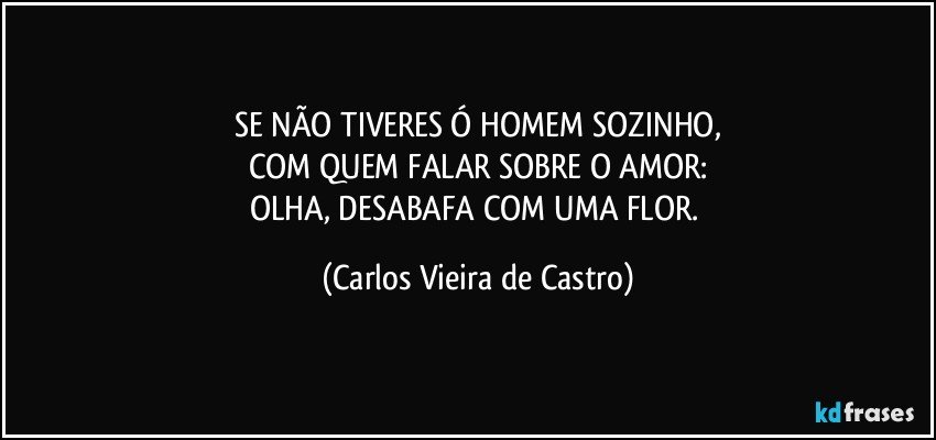 SE NÃO TIVERES Ó HOMEM SOZINHO,
COM QUEM FALAR SOBRE O AMOR:
OLHA, DESABAFA COM UMA FLOR. (Carlos Vieira de Castro)