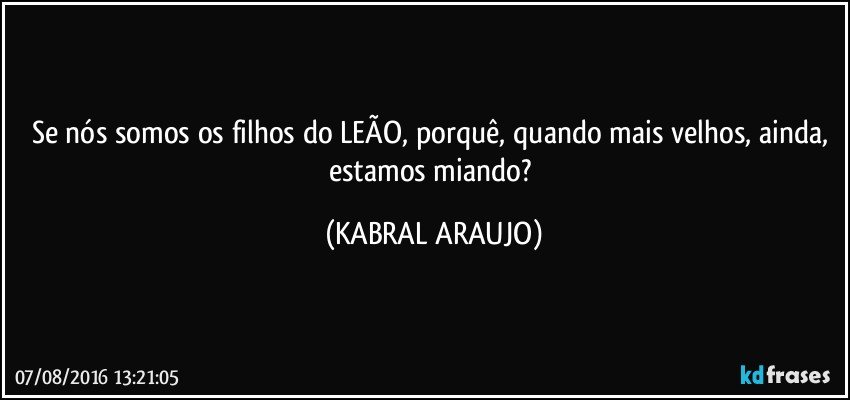 Se nós somos os filhos do LEÃO, porquê, quando mais velhos, ainda, estamos miando? (KABRAL ARAUJO)