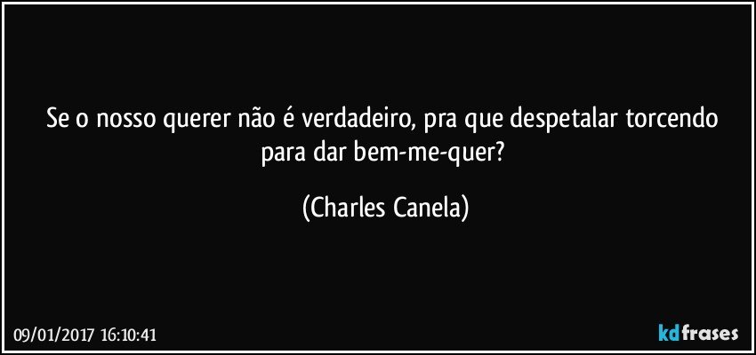 Se o nosso querer não é verdadeiro, pra que despetalar torcendo para dar bem-me-quer? (Charles Canela)