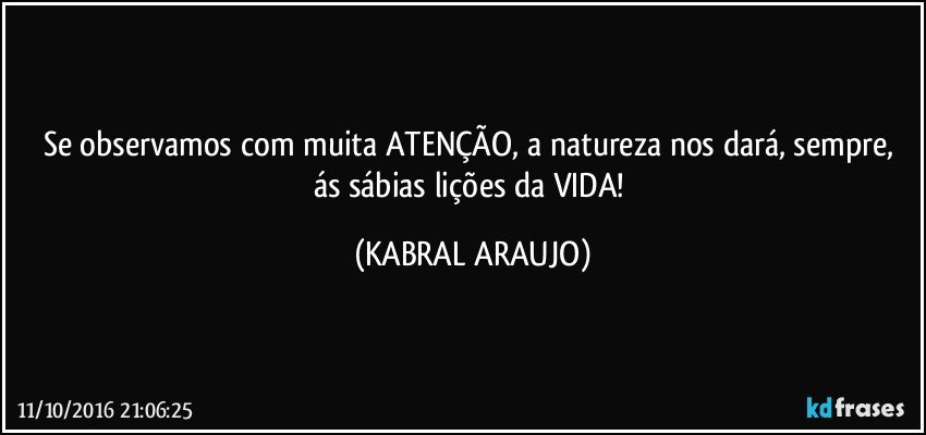 Se observamos com muita ATENÇÃO, a natureza nos dará, sempre, ás sábias lições da VIDA! (KABRAL ARAUJO)