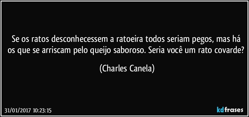 Se os ratos desconhecessem a ratoeira todos seriam pegos, mas há os que se arriscam pelo queijo saboroso. Seria você um rato covarde? (Charles Canela)