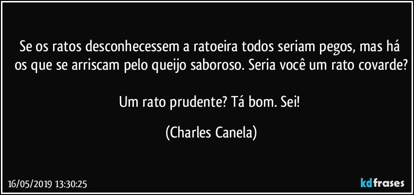 Se os ratos desconhecessem a ratoeira todos seriam pegos, mas há os que se arriscam pelo queijo saboroso. Seria você um rato covarde?

Um rato prudente? Tá bom. Sei! (Charles Canela)