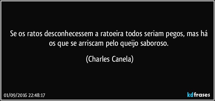 Se os ratos desconhecessem a ratoeira todos seriam pegos, mas há os que se arriscam pelo queijo saboroso. (Charles Canela)