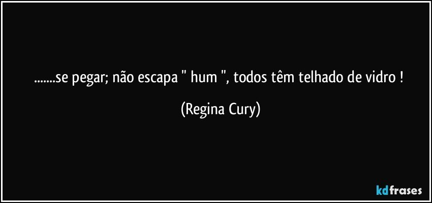 ...se pegar; não escapa "  hum ", todos têm telhado de vidro ! (Regina Cury)