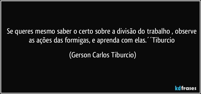 Se queres mesmo saber o certo sobre a divisão do trabalho , observe as ações das formigas, e aprenda com elas.´´Tiburcio (Gerson Carlos Tiburcio)