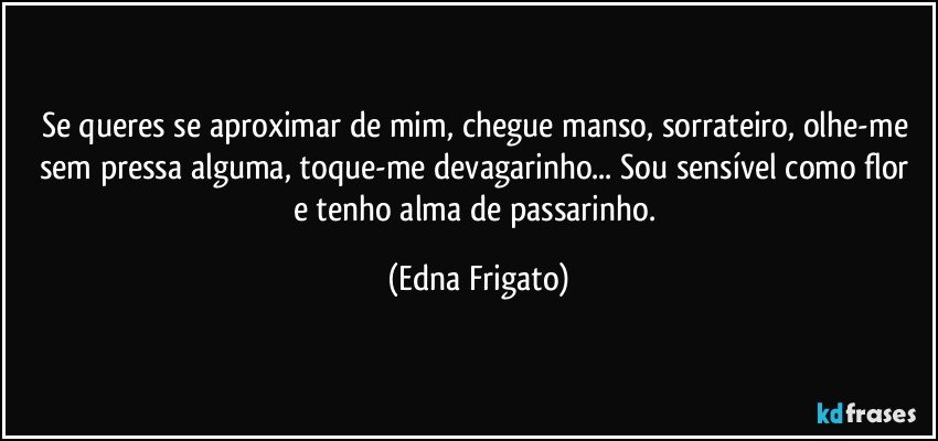 Se queres se aproximar de mim, chegue manso, sorrateiro, olhe-me sem pressa alguma,  toque-me devagarinho... Sou sensível como flor e tenho alma de passarinho. (Edna Frigato)