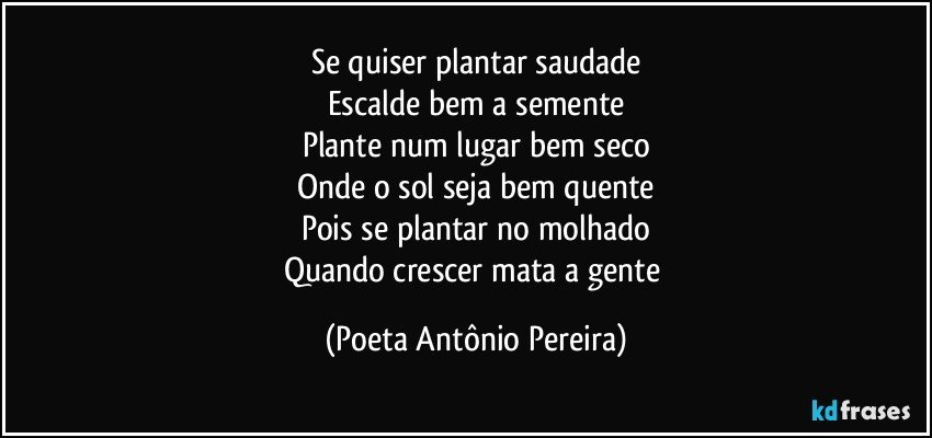 Se quiser plantar saudade
Escalde bem a semente
Plante num lugar bem seco
Onde o sol seja bem quente
Pois se plantar no molhado
Quando crescer mata a gente (Poeta Antônio Pereira)