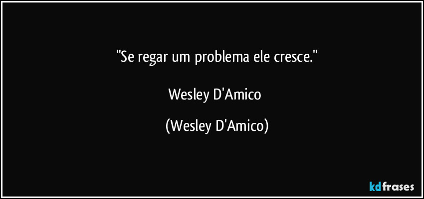 "Se regar um problema ele cresce."

Wesley D'Amico (Wesley D'Amico)