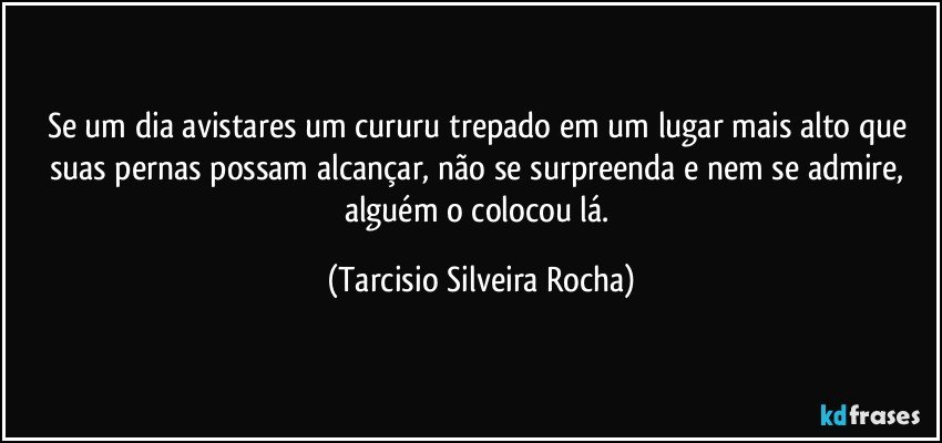 Se um dia avistares um cururu trepado em um lugar mais alto que suas pernas possam alcançar, não se surpreenda e nem se admire, alguém o colocou lá. (Tarcisio Silveira Rocha)