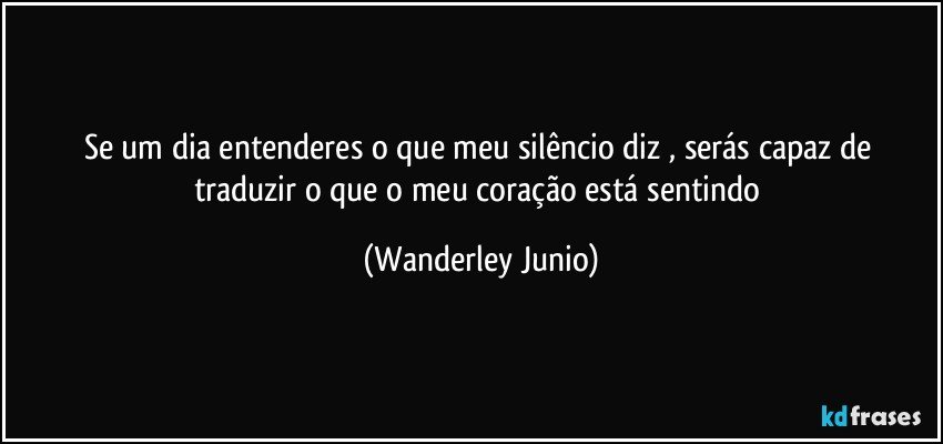 Se um dia entenderes o que  meu silêncio diz , serás capaz de traduzir o que o meu coração está sentindo (Wanderley Junio)