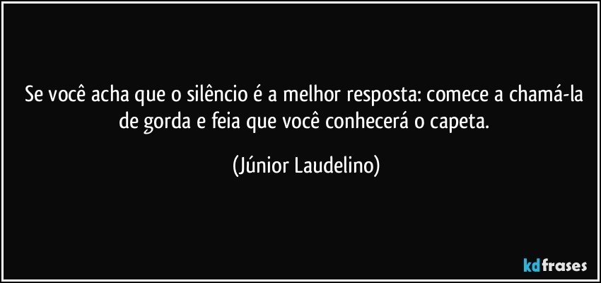 Se você acha que o silêncio é a melhor resposta: comece a chamá-la de gorda e feia que você conhecerá o capeta. (Júnior Laudelino)