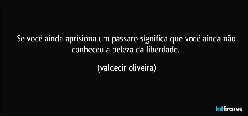 ⁠Se você ainda aprisiona um pássaro significa que você ainda não conheceu a beleza da liberdade. (valdecir oliveira)