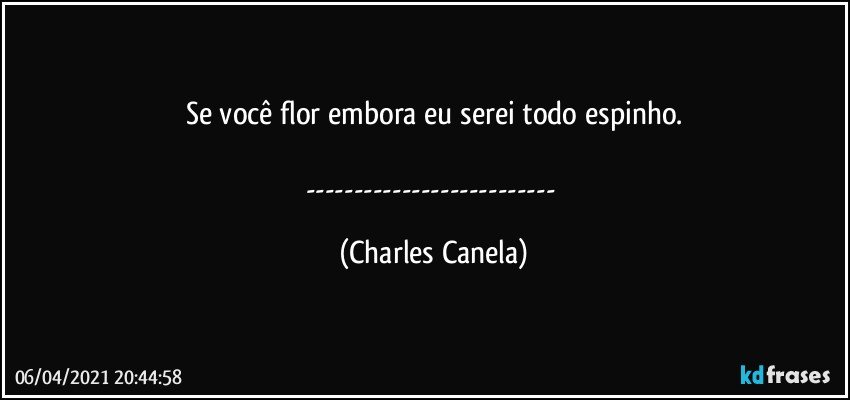 Se você flor embora eu serei todo espinho.

--- (Charles Canela)