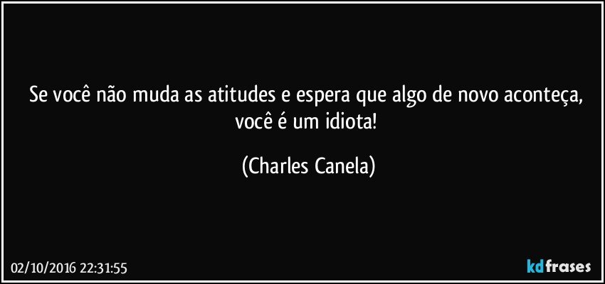 Se você não muda as atitudes e espera que algo de novo aconteça, você é um idiota! (Charles Canela)