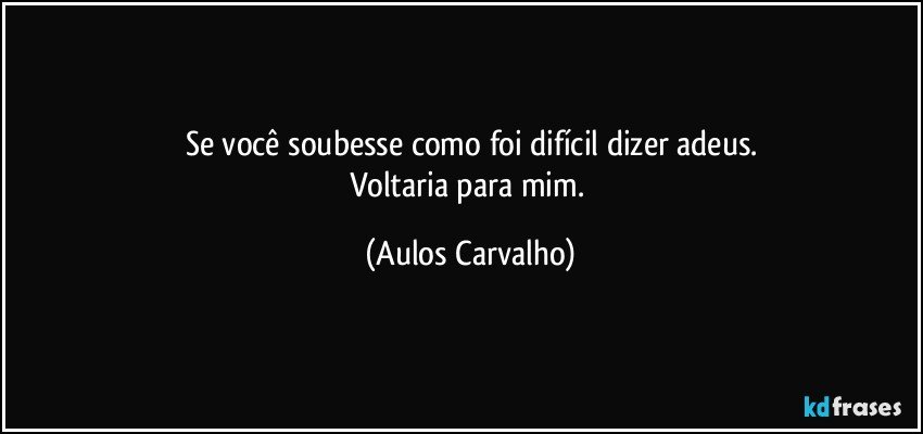 Se você soubesse como foi difícil dizer adeus.
Voltaria para mim. (Aulos Carvalho)