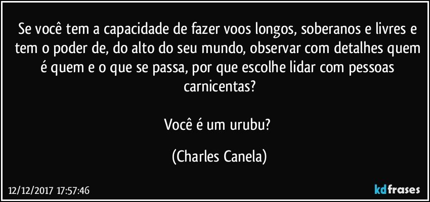 Se você tem a capacidade de fazer voos longos, soberanos e livres e tem o poder de, do alto do seu mundo, observar com detalhes quem é quem e o que se passa, por que escolhe lidar com pessoas carnicentas?

Você é um urubu? (Charles Canela)