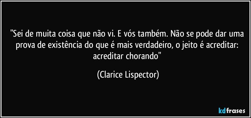 "Sei de muita coisa que não vi. E vós também. Não se pode dar uma prova de existência do que é mais verdadeiro, o jeito é acreditar: acreditar chorando" (Clarice Lispector)