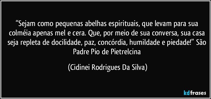 “Sejam como pequenas abelhas espirituais, que levam para sua colméia apenas mel e cera. Que, por meio de sua conversa, sua casa seja repleta de docilidade, paz, concórdia, humildade e piedade!” São Padre Pio de Pietrelcina (Cidinei Rodrigues Da Silva)