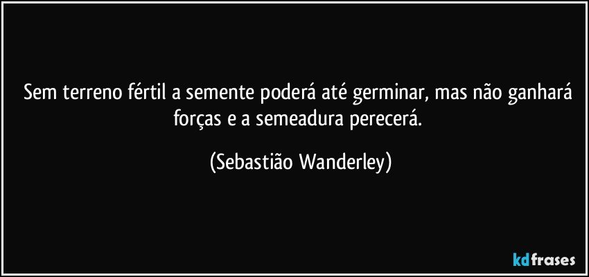 Sem terreno fértil a semente poderá até germinar, mas não ganhará forças e a semeadura perecerá. (Sebastião Wanderley)